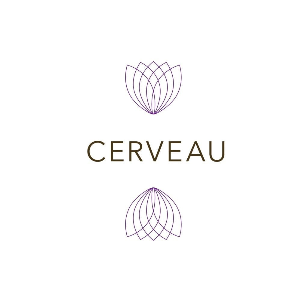 Atelier - cerveau