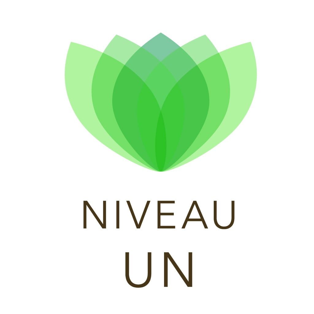 Formation Antenne de Lecher niveau 1
