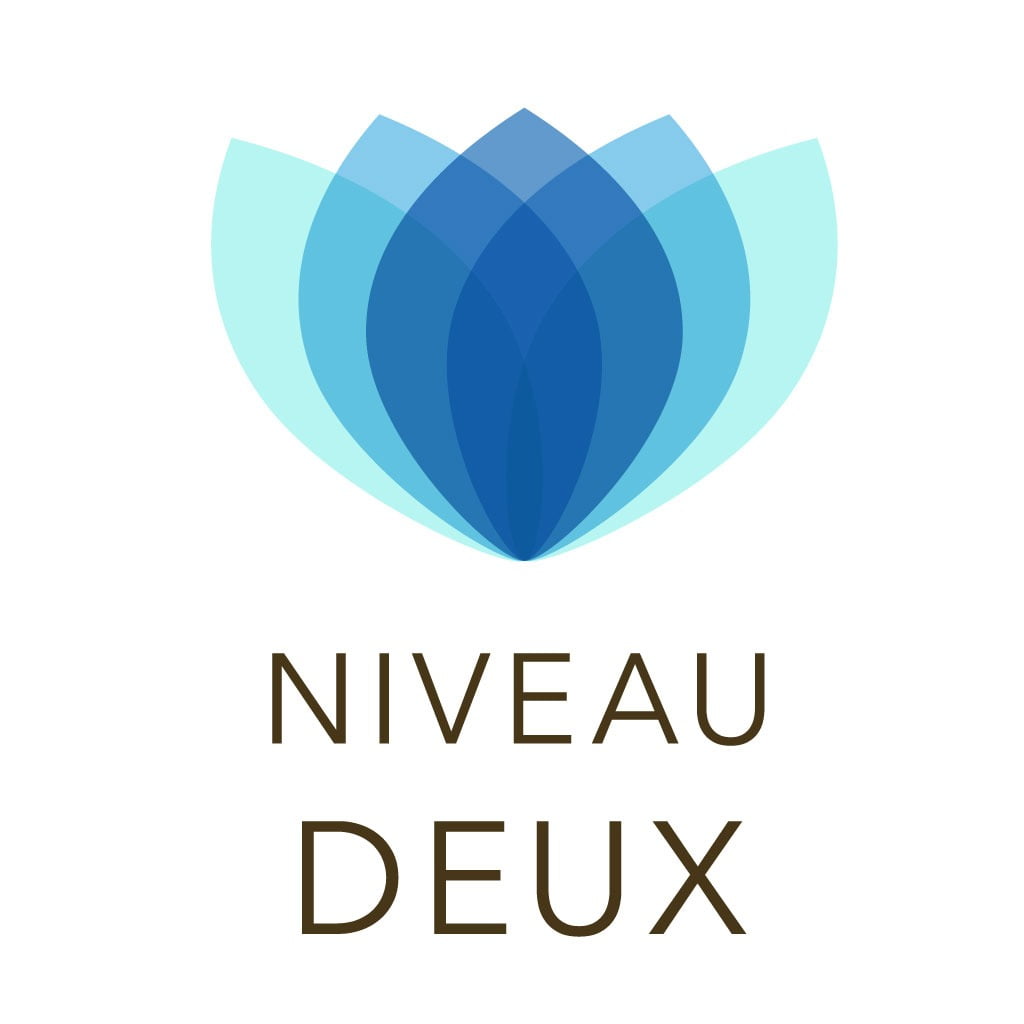 Formation Antenne de Lecher niveau 2