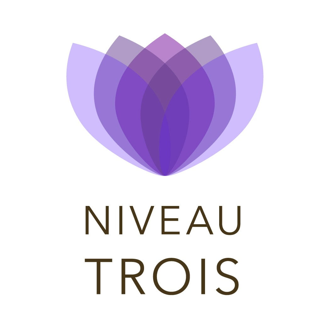 Formation Antenne de Lecher niveau 3