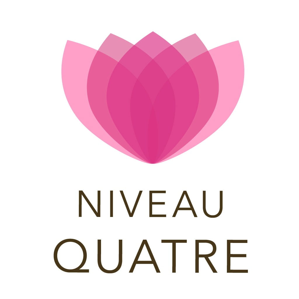 Formation Antenne de Lecher niveau 4