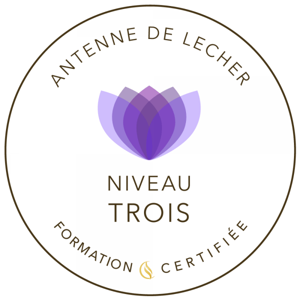 Antenne de Lécher Niveau 3